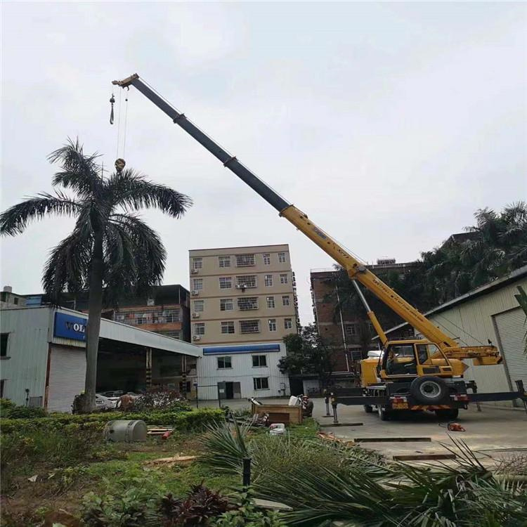 桐柏汽车吊出租多少钱？全面解析与市场行情